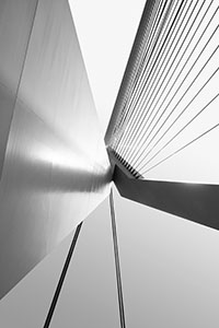 Dit is een foto van de Erasmusbrug in Rotterdam, van onderaf genomen.